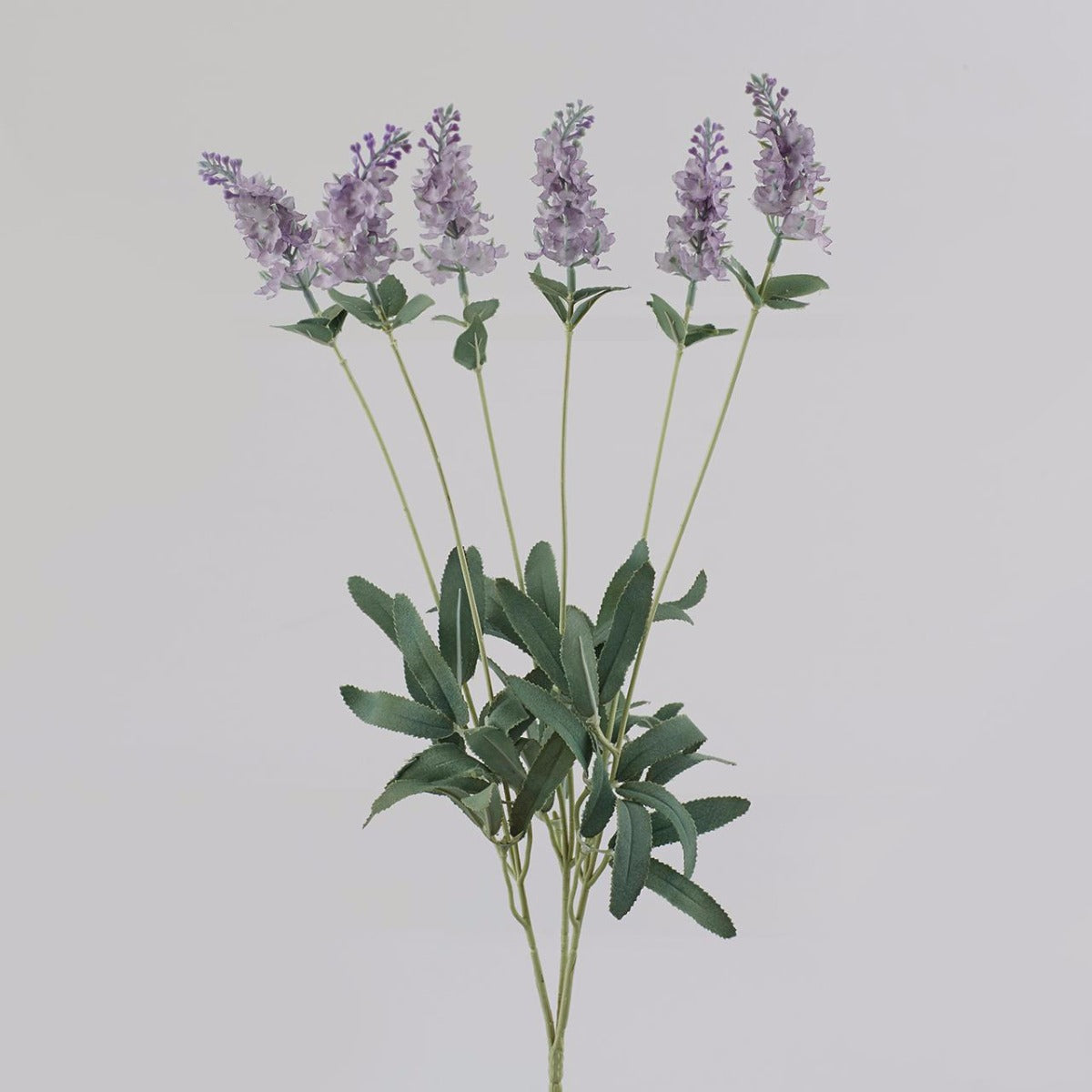 Lavanda Lilla: piante artificiali di qualità - 213755,63