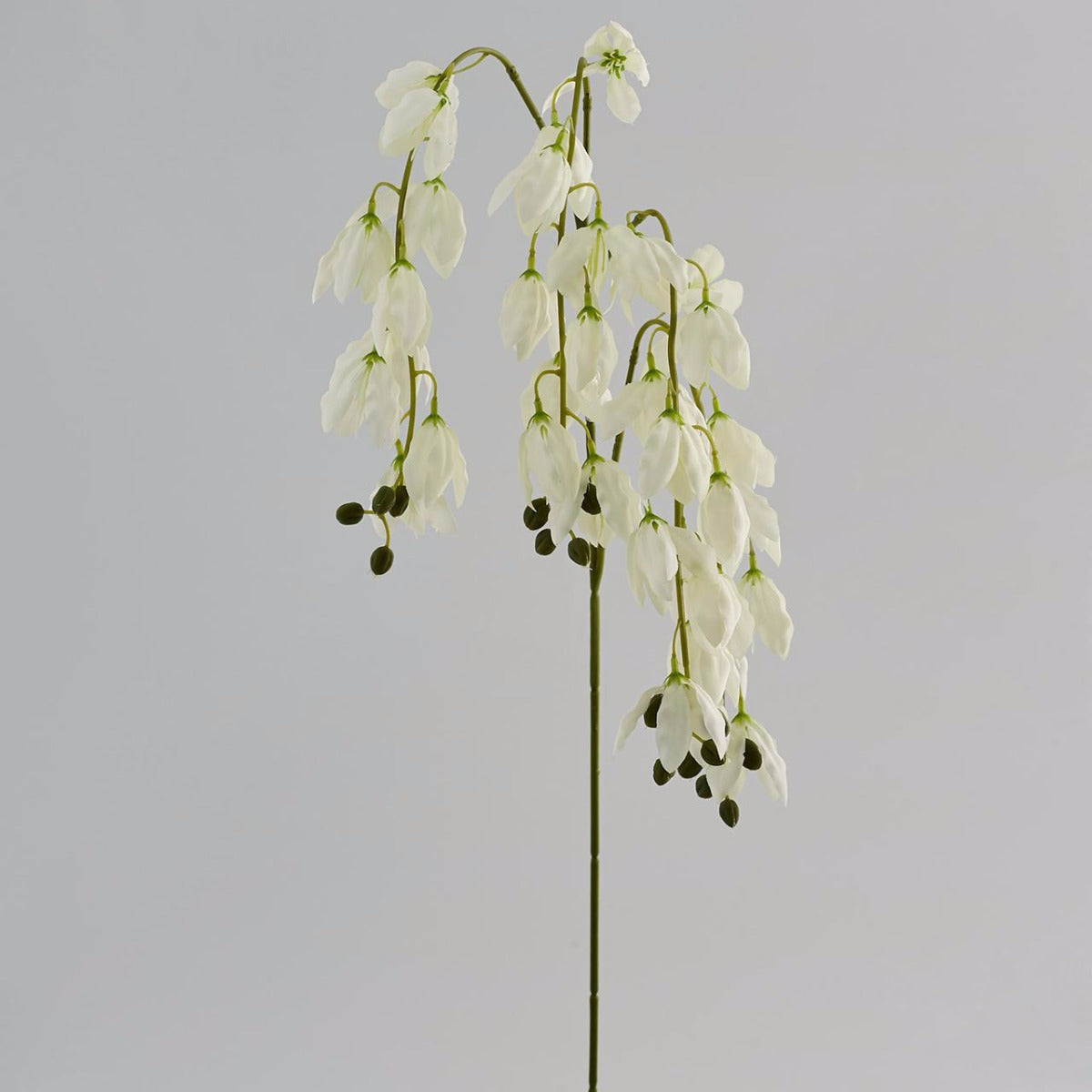 Fiori di Moringa: fiori artificiali di alta qualità - 214244