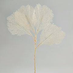 Gorgonia Bianco H66 : ramo decorativo di corallo finto - 231098,12