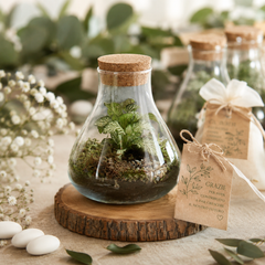 Bomboniera Green | Terrarium Laborantin