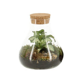 Bomboniera Green | Terrarium Laborantin - HAR_KTRP00