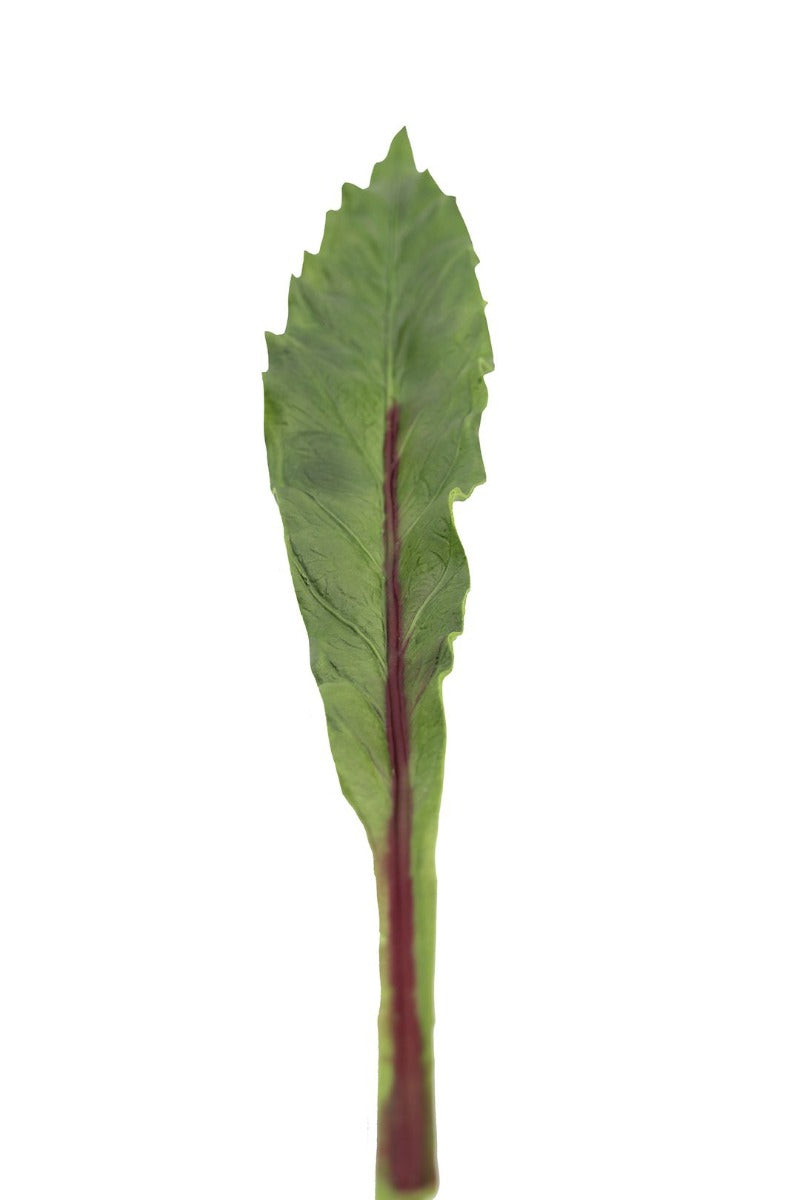 Foglia Asplenium finta: piante artificiali di qualità - 93057
