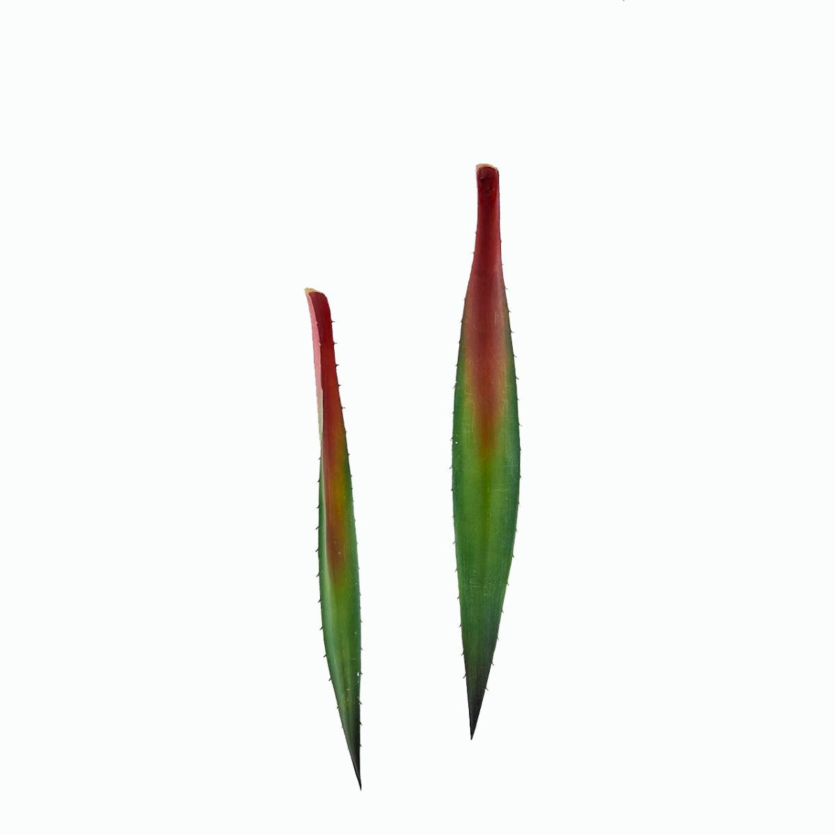 Foglie di Aloe finta 2Pz/Ass: piante artificiali di qualità - 235159