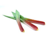 Foglie di Aloe finta 2Pz/Ass: piante artificiali di qualità - 235159