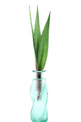 Foglie di Aloe finta 2Pz/Ass: piante artificiali di qualità - 235159
