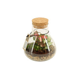 Bomboniera Green | Terrarium New Laborantin - HAR_L3W500