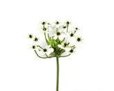 Fiore di Ornitogallo artificiale H67 : Fiori artificiali di qualità - 215003