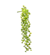 Echeveria Olis Cespuglio Cadente H44 | Piante Succulente Artificiali di Qualità - 232986
