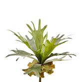 Platycerium artificiale H35 : Piante artificiali di alta qualità - 234076