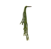 Euphorbia cadente artificiale H51 : Piante succulente artificiali - 232058