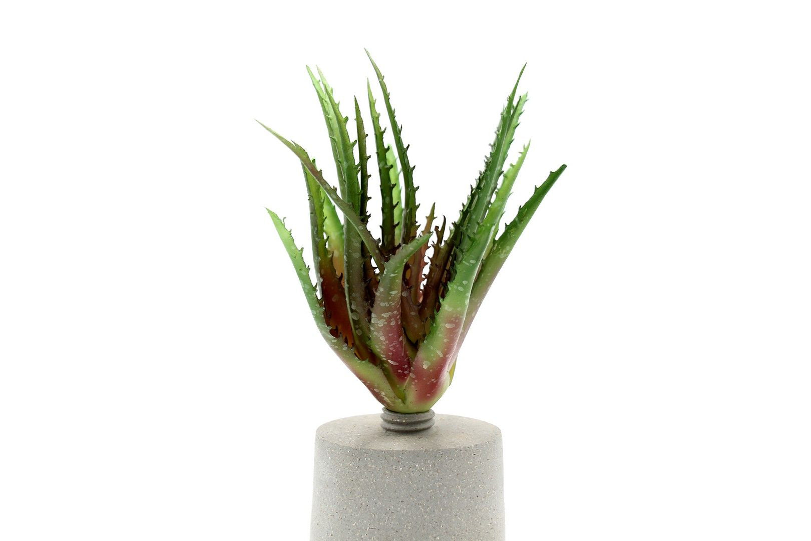 Cespuglio di Aloe Scura: piante artificiali di qualità - 231658,74