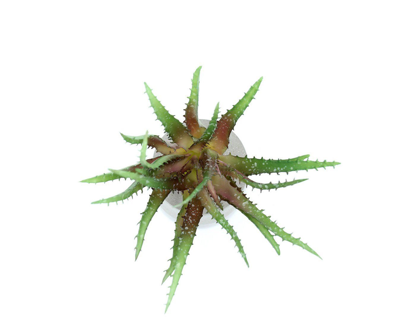 Cespuglio di Aloe Scura: piante artificiali di qualità - 231658,74