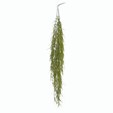Senecio Radicans Cadente: piante grasse artificiali di qualità - 231945