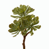 Pianta succulenta finta: piante grasse artificiali di qualità - 232002