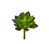 Echeveria artificiale H14 : Piante succulente artificiali di alta qualità - 234170