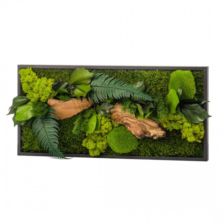 Quadro Vegetale Rettangolare con Verde Stabilizzato 57X27 - STAB-RECT-CAN