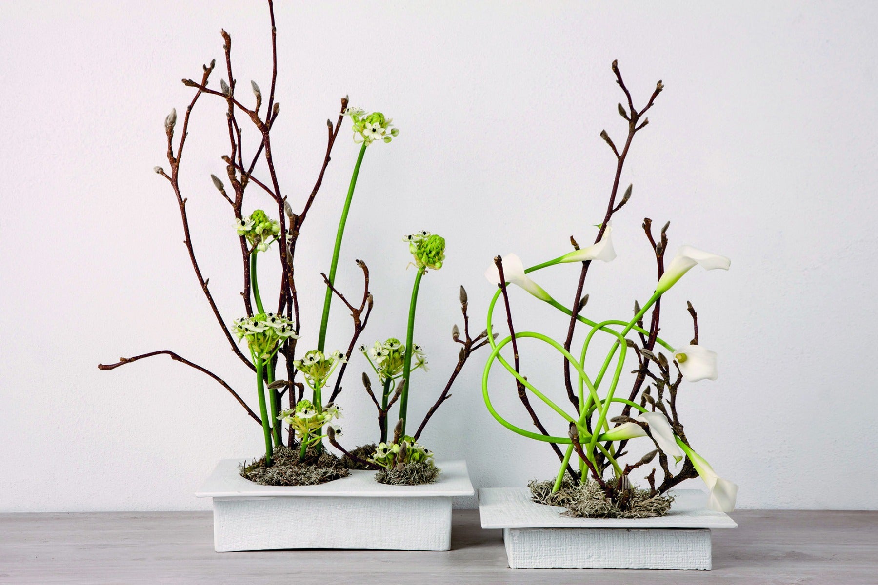 Ciotola Ikebana piccola: ciotole ceramica design D&M - AAR4905WH