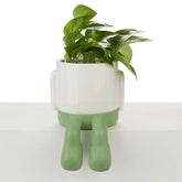 Vaso Porta Piante da interno Mr.Dangly Verde H22 - 27530