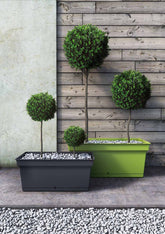 Fioriera rettangolare Aqua 100 in plastica Teraplast - CONFIG0041