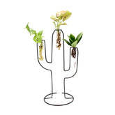 Mix Idro Cactus | Piante idroponiche in vasi di design Limited Edition - idro-27582