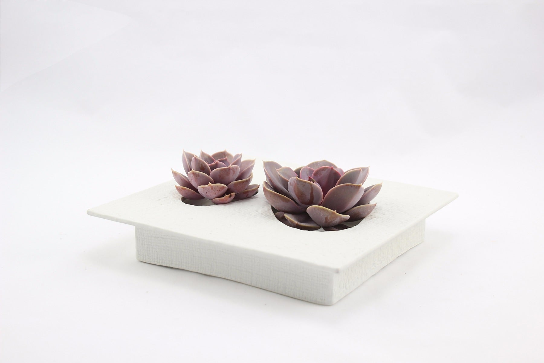 Ciotola Ikebana piccola: ciotole ceramica design D&M - AAR4905WH