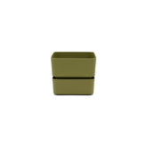 Vaso Veleta Olive 9CM | Vasi di design in plastica colorata TERAPLAST - 08768009-313