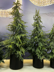 EDG - Enzo De Gasperi Albero Cryptomeria Real Touch con Vaso H90 cm