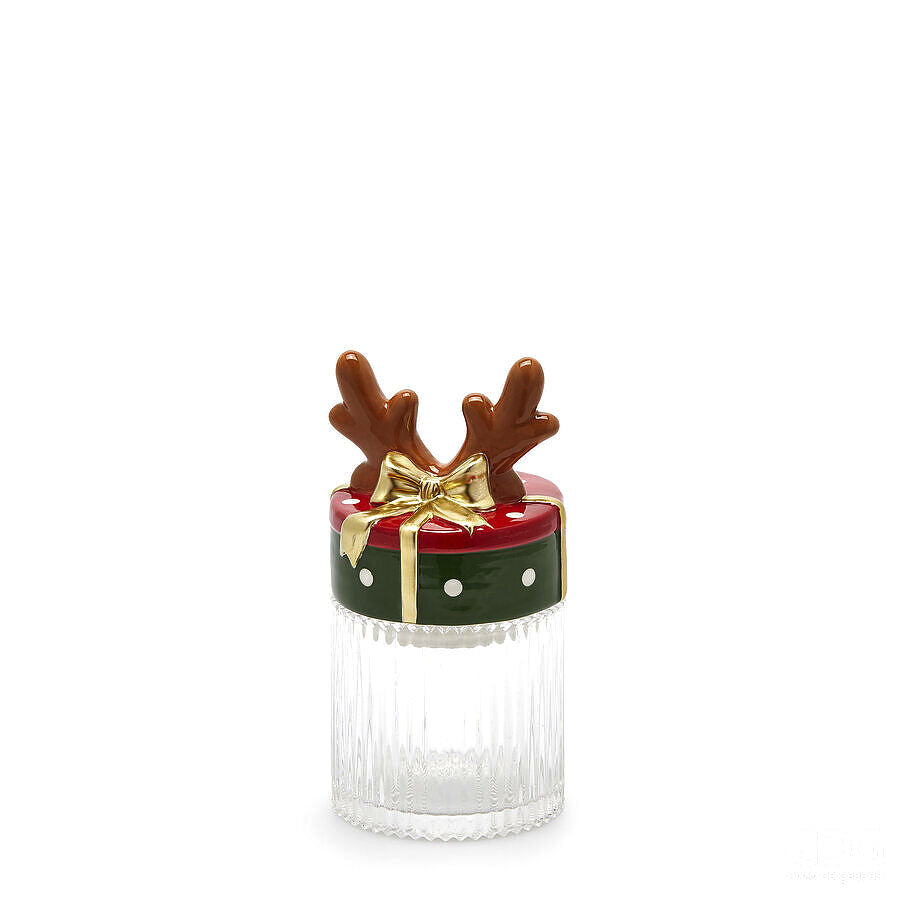 EDG Enzo De Gasperi – Contenitore Renna in Vetro con Tappo in Ceramica H21 x Ø11 cm