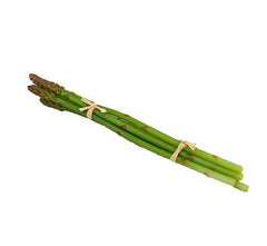Asparago selvatico artificiale MZ/6PZ | Frutta e verdura finta - 250708