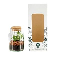 Bomboniera Eco Friendly | Terrarium Minù in Bottiglietta di Vetro