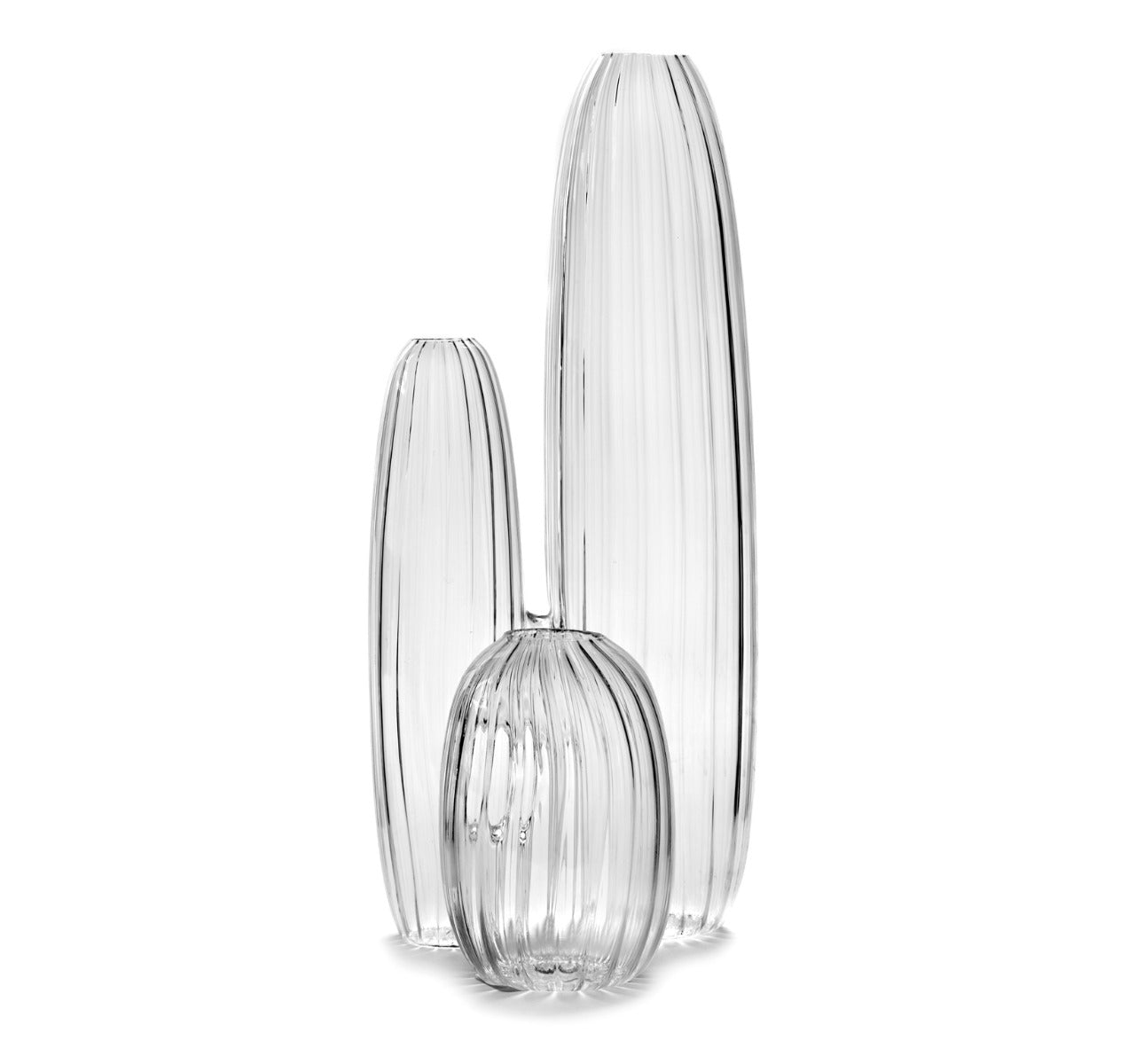 Vaso Bonseki : Vasi in vetro di design - B0818001
