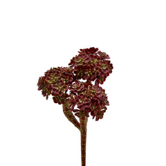Pianta Artificiale Crassula Ovata H 20 cm | Succulenta Realistica Real Touch