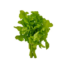 Insalatina Artificiale H20 – Decorazione Ultra Realitica