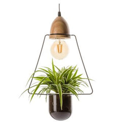 Lampada Vegetale | Lampada a Sospensione con Vaso Portapianta - 18536
