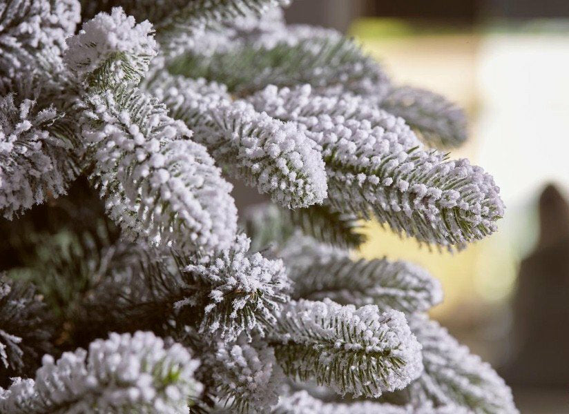 Pino Merano Innevato | Albero di Natale artificiale innevato - CONFIG0236