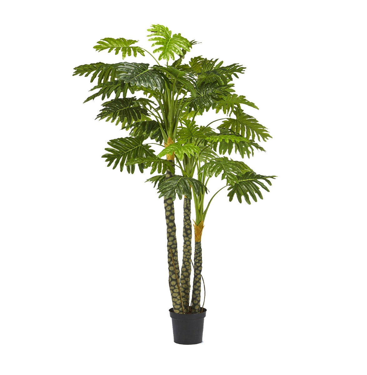Filodendro artificiale con vaso H240 - 231792