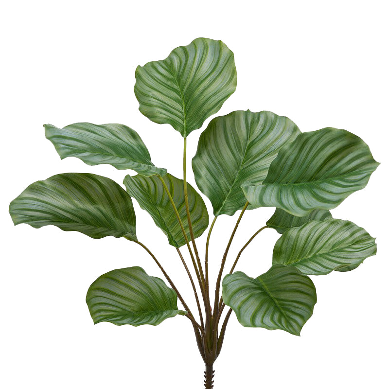 Pianta di Calathea Artificiale x 10 Rami H50 | Piante Artificciali di Qualità