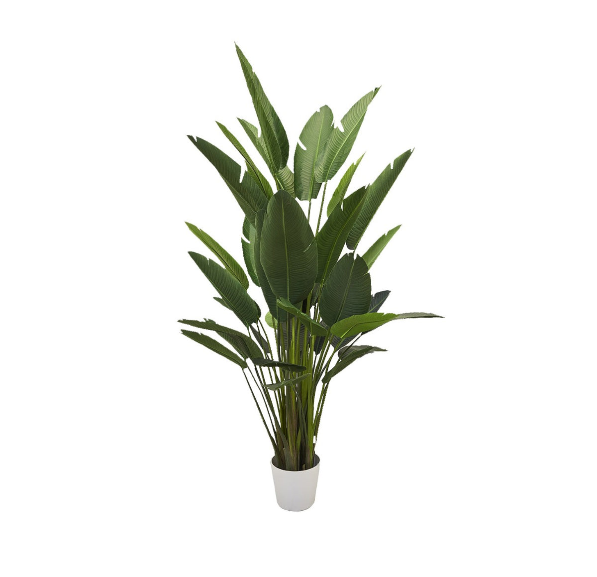 Strelitzia Artificiale doppia H245 - 231940