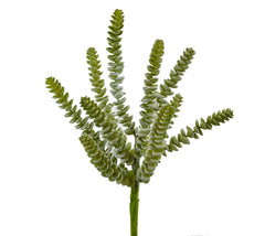 Pianta Sedum Logan artificiale : Piante succulente artificiali - 231420-88