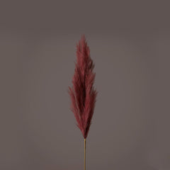 Ramo Pampas Rosso Porpora H100 - 683441