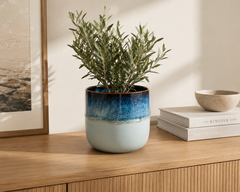 Vaso Cachepot Nuance Rotondo Celeste/Blu H16 D17 Cm – EDG Enzo De Gasperi