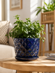 Vaso Cachepot Rombi Blu in Ceramica con Sottovaso H15 D18 – EDG