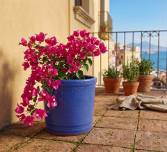 Vaso Glaze Cilindro H18 D18 Blu EDG | Cachepot in Ceramica Smaltata