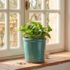 Vaso Glaze Cilindro H18 D18 Celeste EDG | Cachepot in Ceramica Smaltata