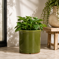 Vaso Glaze Cilindro H23 D24,5 Verde Oliva EDG | Cachepot in Ceramica Smaltata