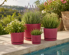 Vaso Glaze Righe Rotondo EDG in Terracotta Corallo H28 con Sottopiatto Integrato