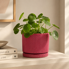 Vaso Glaze Righe Rotondo EDG in Terracotta Corallo H19 con Sottopiatto Integrato
