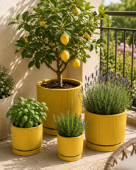 Vaso Glaze Righe Rotondo EDG in Terracotta Gialla H28 con Sottopiatto Integrato