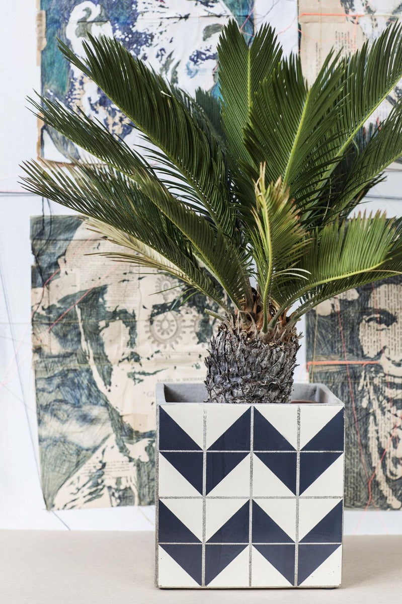 Cachepot Marie zig-zag: vasi in cemento Serax - CONFIG0012