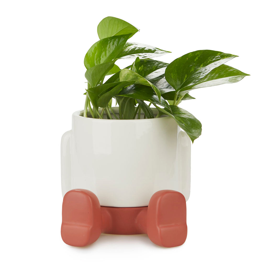 Vaso Porta Piante da interno Mr.Sitty Rosso H15 - 27525